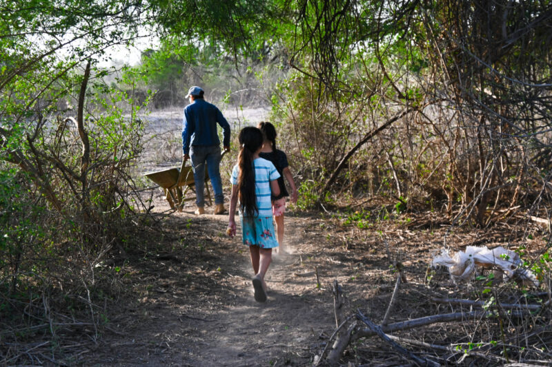 Mistolar: Un día en la vida de una familia criolla